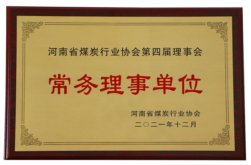 河南省煤炭行業(yè)協(xié)會常務(wù)理事單位
